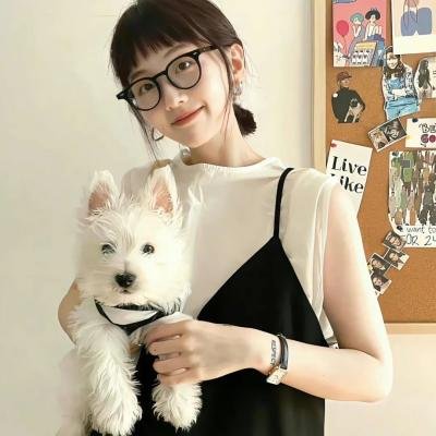 逐梦乐坛